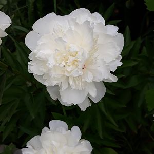 20190612_132653