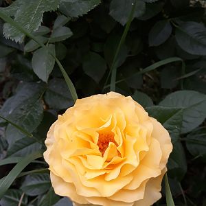 20190612_132802
