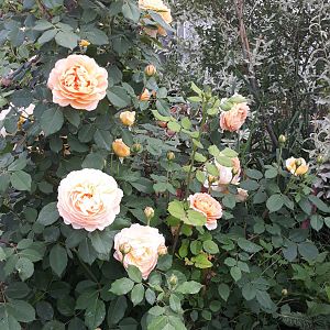 20190612_133112