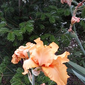 20190612_133224