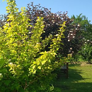 IMG_20190629_083859
