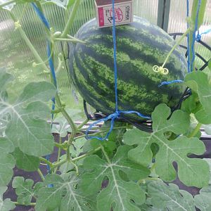 IMG-20190628-WA0038
