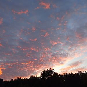 IMG_20190626_213909