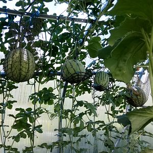 IMG_20190723_082610