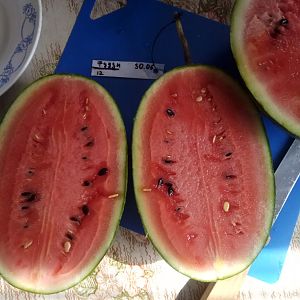 IMG_20190816_114054