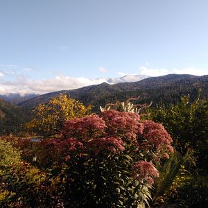 P_20190929_144211