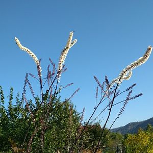 IMG_20190920_092334