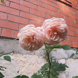 20190907_174838[1]