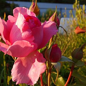 IMG_20190630_195624