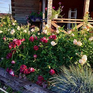 IMG_20190702_195742