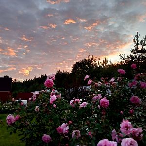 IMG_20190626_213533