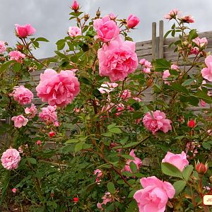 IMG_20190628_195207