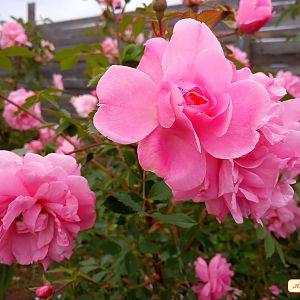 IMG_20190629_193718