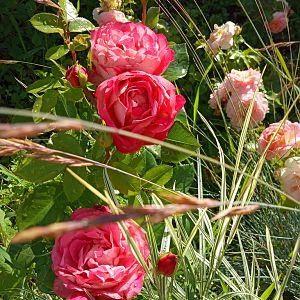 IMG_20190706_161229