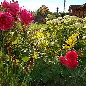 IMG_20190709_081058