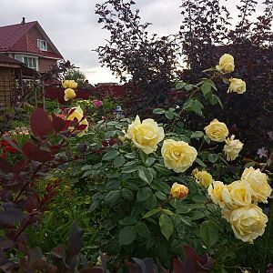 IMG_20190711_195407