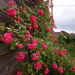 IMG_20190711_195650