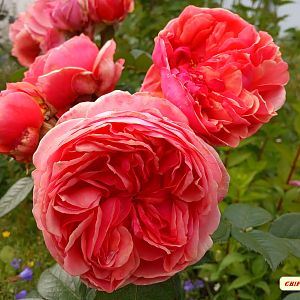 IMG_20190713_160948