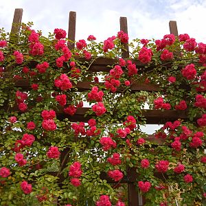 IMG_20190720_144944