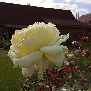 IMG_20190914_122754
