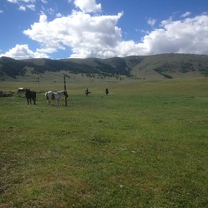IMG_1682