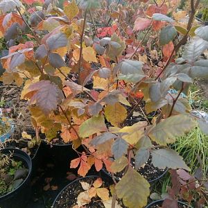 IMG_20211016_111928