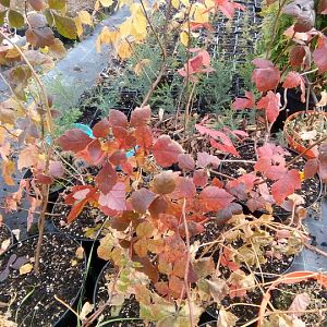 IMG_20211016_112006