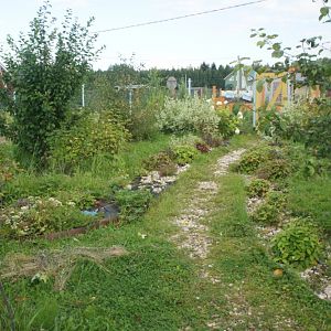 Дорожка первая 5