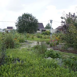 Пересечение 1