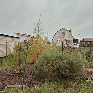 2024 осень