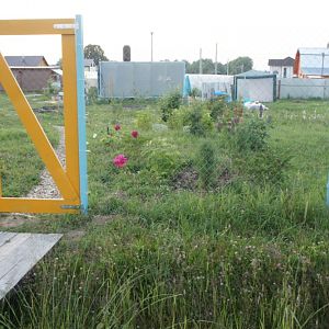 Дорожка первая 4
