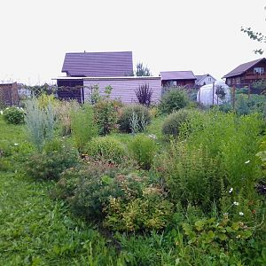 2022 июль