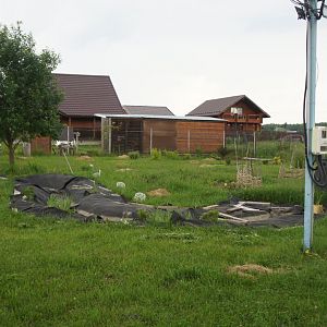 2020 июнь