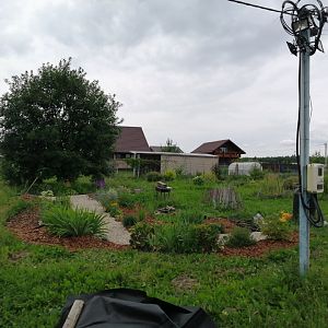 2022 июль