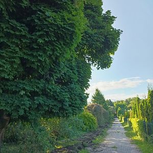 IMG_20250628_190413_214