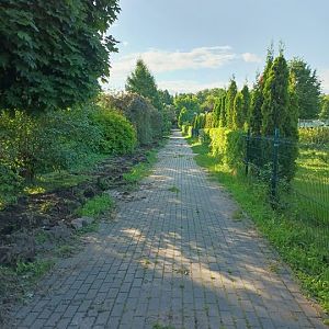 IMG_20250628_190401_987