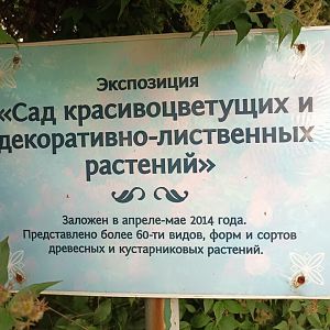 04 сад красивоцветущих растений