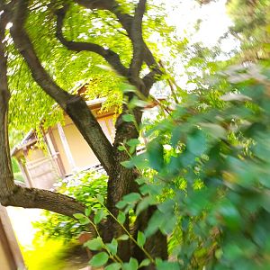 IMG_20250729_145656_409