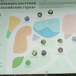 1 план альпийских горок