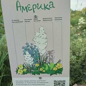 Америка Северная