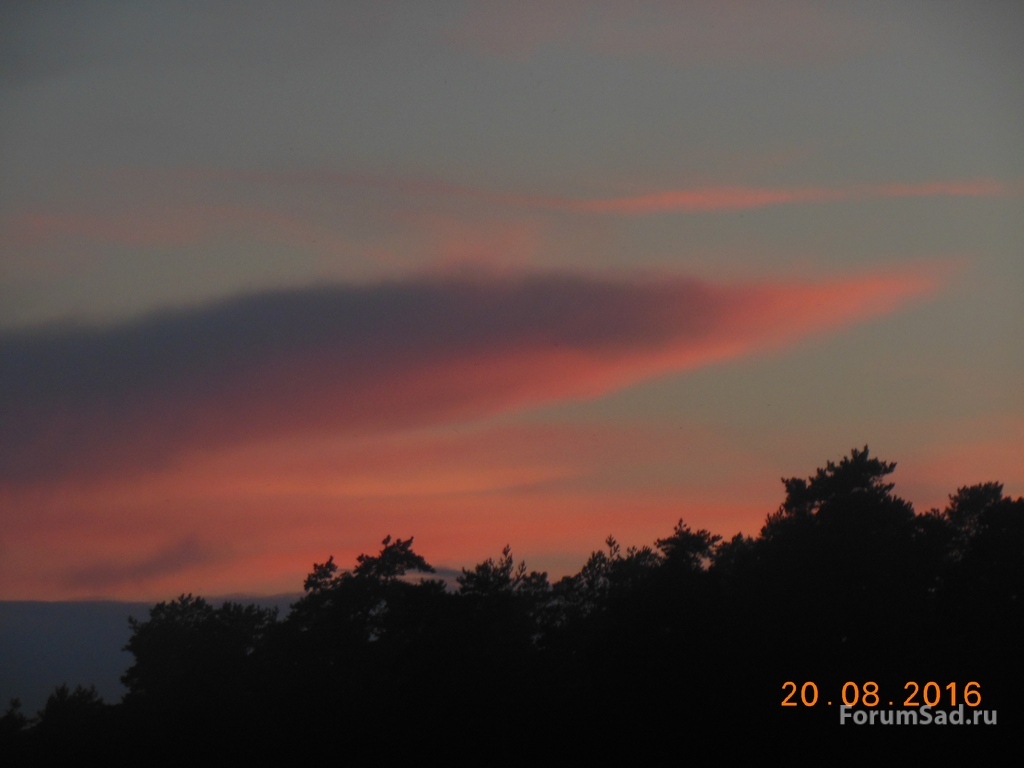 0720 005