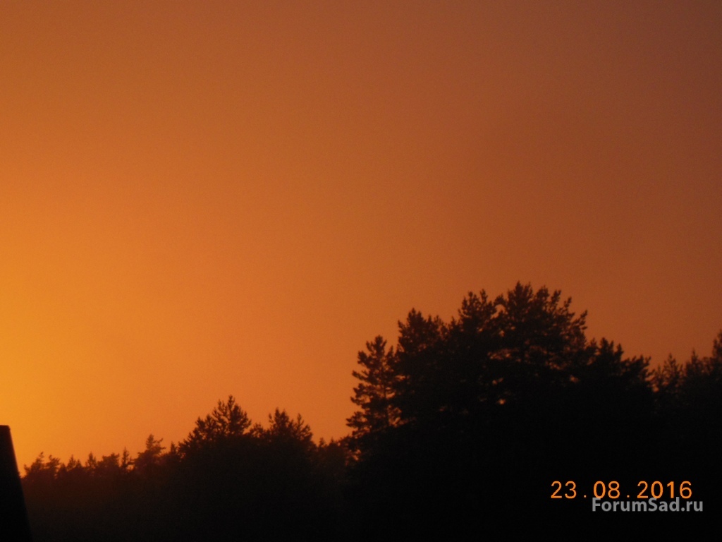 0720 020