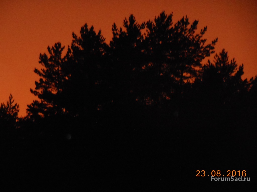 0720 024