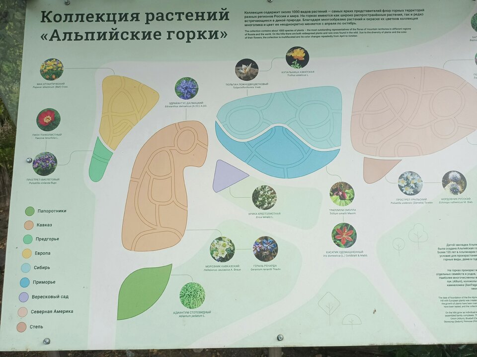 1 план альпийских горок