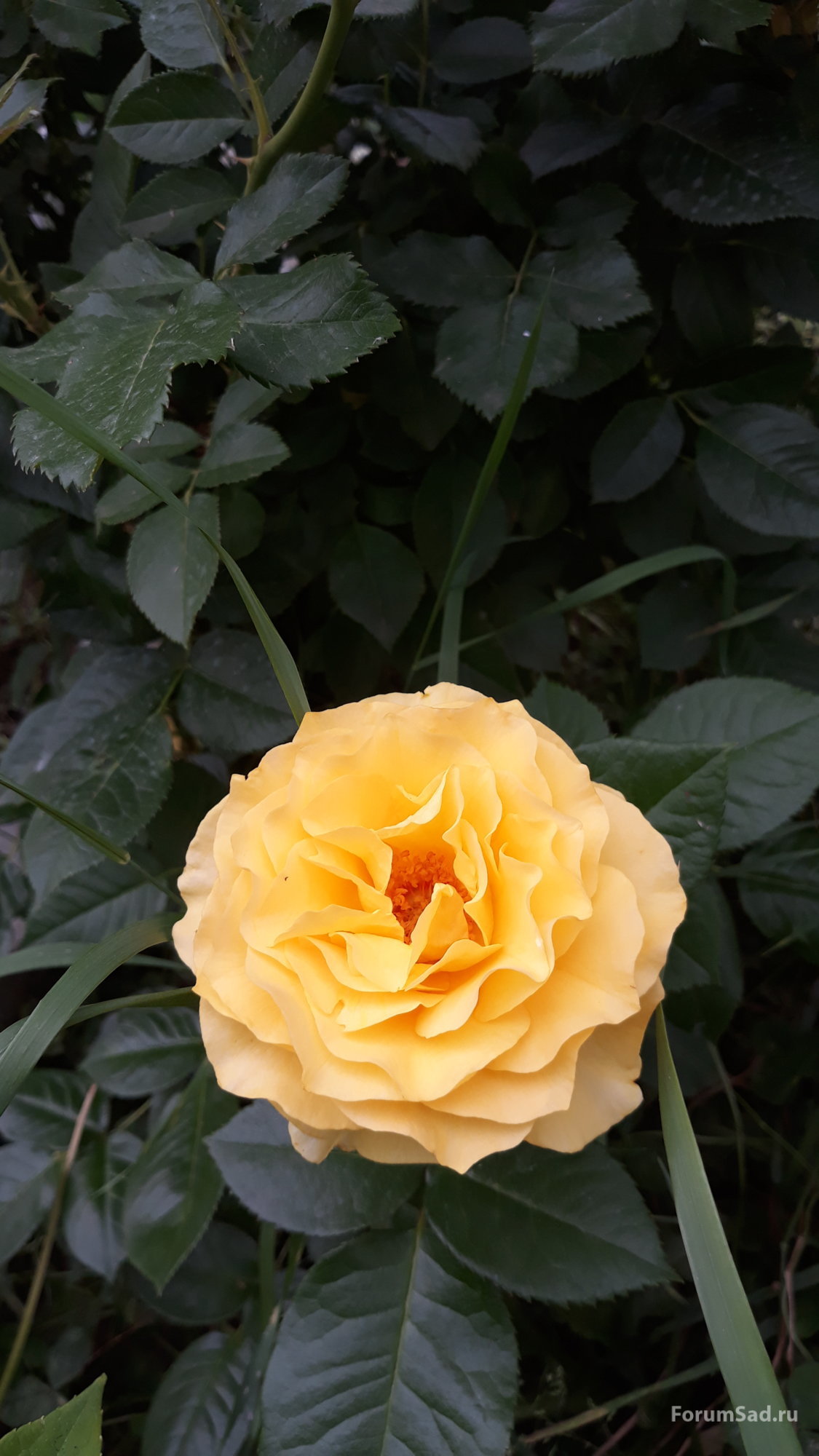 20190612_132802