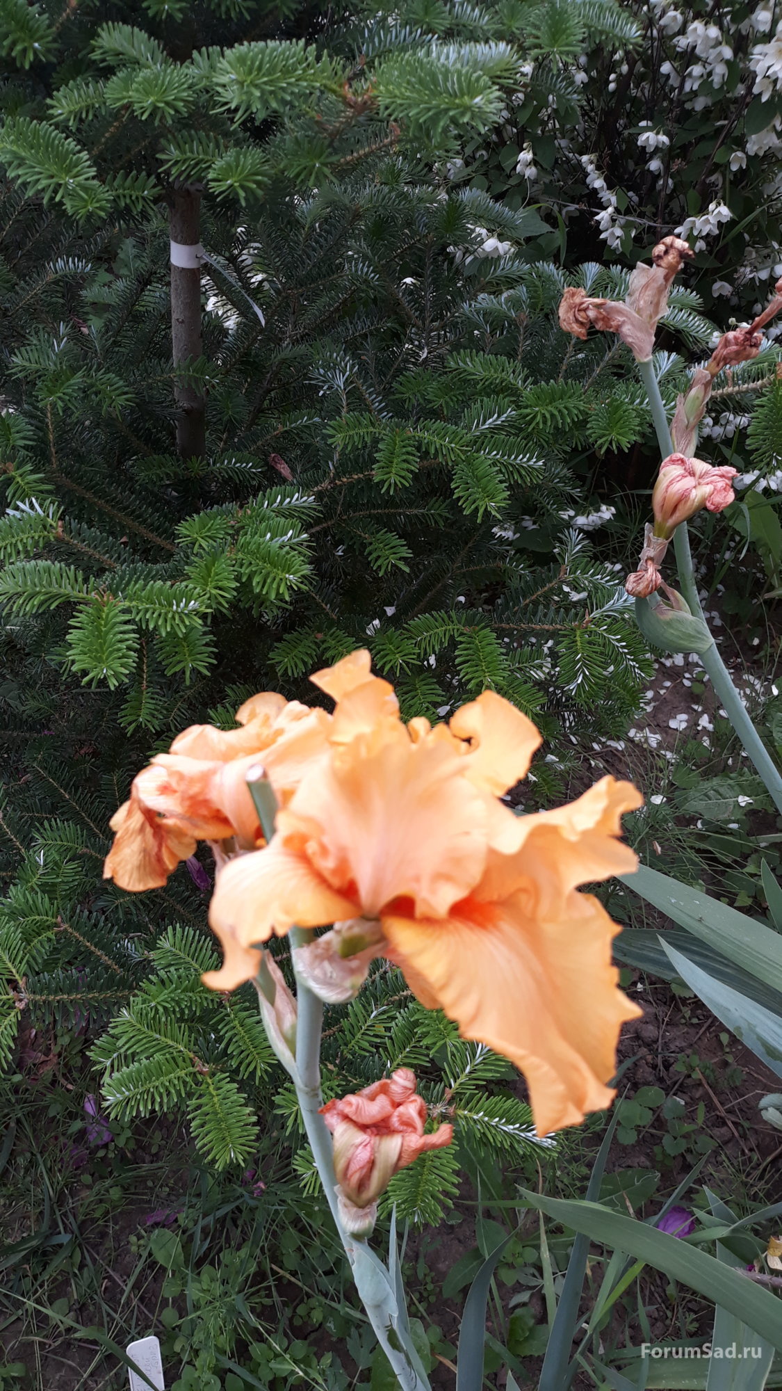 20190612_133224