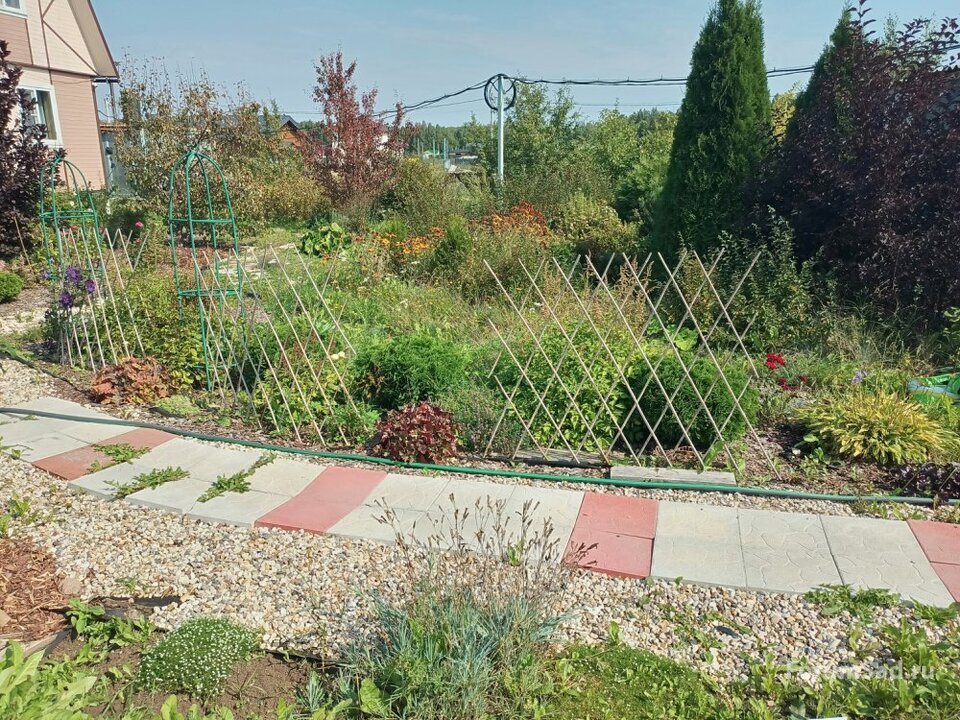2024 лето