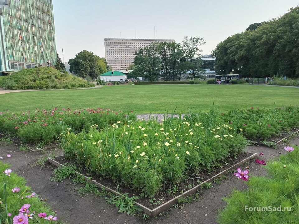30 сад ароматов