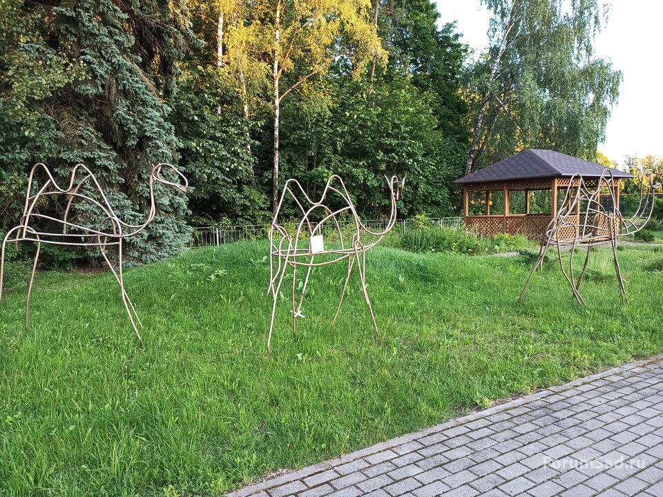 30 секция Средней Азии