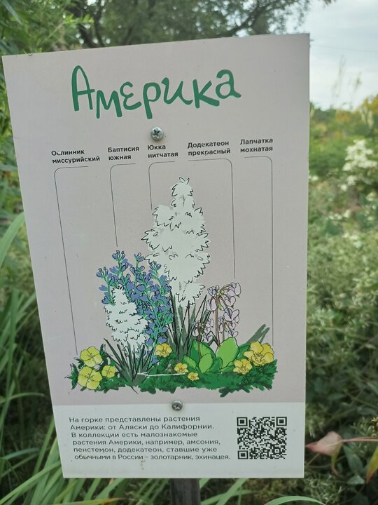 Америка Северная